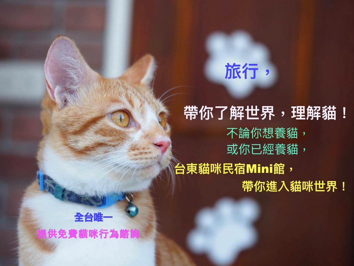 貓咪民宿mini館-中午即可入房 Taitung Екстер'єр фото